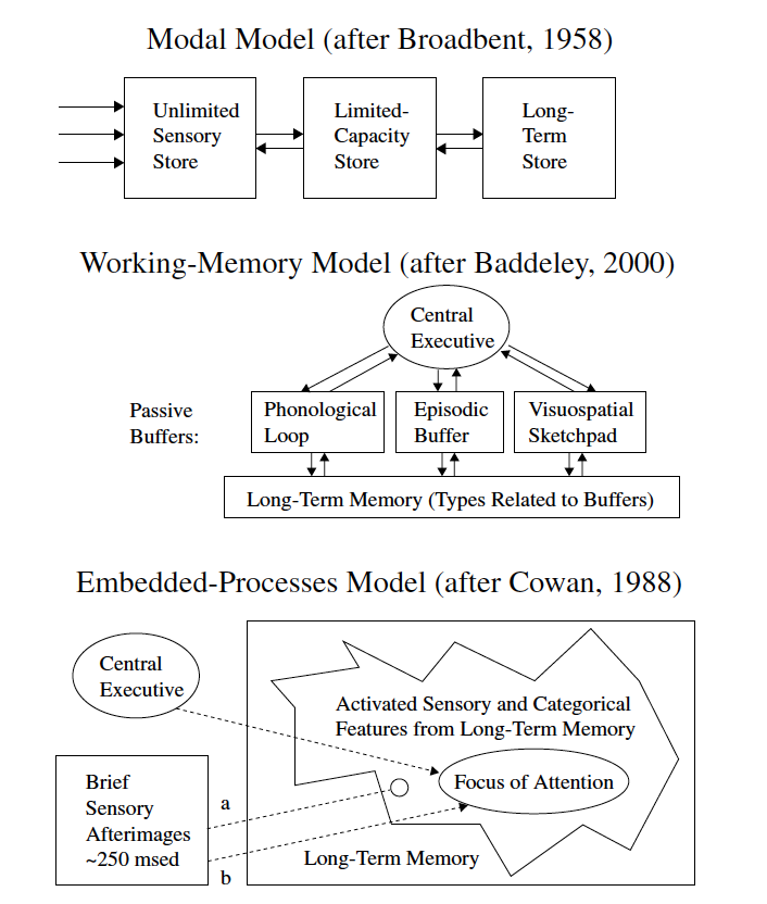 Schematics of Models of Working Memory taken from Cowan, 2005